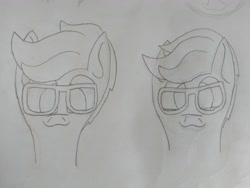 Size: 4608x3456 | Tagged: safe, artist:acid flask, imported from derpibooru, oc, oc only, oc:lightpoint, pegasus, pony, 2d, bust, drawing, glasses, male, pegasus oc, portrait, smiling, stallion, traditional art