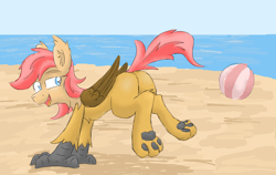 Size: 1942x1224 | Tagged: safe, artist:pzkratzer, imported from derpibooru, oc, oc only, oc:ponygriff, hippogriff, ball, beach, beach ball, butt, featureless crotch, flockmod, hippogriff oc, male, nudity, paw pads, paws, plot, sexy, solo, underpaw
