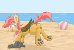 Size: 1933x1318 | Tagged: safe, artist:pzkratzer, imported from derpibooru, oc, oc:ponygriff, hippogriff, ball, beach, beach ball, butt, clothes, continued in the comments, flockmod, hippogriff oc, male, paw pads, paws, plot, stupid sexy, swimming trunks, swimsuit, underpaw
