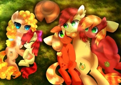 Size: 1521x1068 | Tagged: safe, artist:jaanhavi, imported from derpibooru, apple bloom, applejack, big macintosh, bright mac, pear butter, earth pony, pony, family, female, filly, foal, male, mare, overhead view, stallion