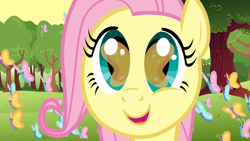 Size: 1920x1080 | Tagged: safe, imported from derpibooru, screencap, fluttershy, butterfly, pegasus, pony, season 1, the cutie mark chronicles, 1080p, close-up, cute, eye reflection, female, filly, filly fluttershy, foal, happy, open mouth, reflection, shyabetes, solo, tree, younger