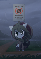 Size: 1800x2600 | Tagged: safe, artist:an-m, imported from ponybooru, oc, oc only, oc:reflect decrypt, earth pony, pony, clothes, forest, grass, grass field, hoodie, looking at you, rain, shoes, sign, skirt, socks, solo