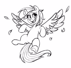 Size: 4096x3909 | Tagged: safe, artist:greenybeanz, imported from derpibooru, rainbow dash, pegasus, pony, female, monochrome, simple background, sketch, solo, white background