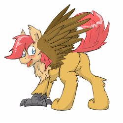 Size: 4000x4000 | Tagged: safe, artist:pzkratzer, imported from derpibooru, oc, oc:ponygriff, blushing, butt, cute, featureless crotch, flockmod, looking back, open mouth, plot, ponygriff, spread wings, wings