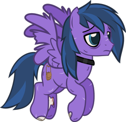 Size: 1242x1197 | Tagged: safe, artist:lightningbolt, derpibooru exclusive, imported from derpibooru, oc, oc only, oc:feather freight, pegasus, pony, undead, zombie, zombie pony, .svg available, bags under eyes, bloodshot eyes, bone, collar, flying, lidded eyes, male, scar, show accurate, simple background, solo, stallion, stitches, svg, tattered, torn ear, transparent background, vector