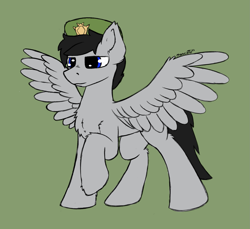 Size: 1797x1648 | Tagged: safe, artist:monycaalot, imported from derpibooru, oc, oc only, oc:cuti cuti, pegasus, pony, colored sketch, gift art, green background, male, simple background, soldier, solo, spread wings, wings