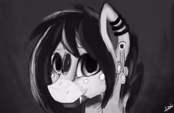 Size: 2936x1917 | Tagged: safe, artist:minckies, imported from derpibooru, oc, oc only, earth pony, pony, bust, ear piercing, earring, earth pony oc, jewelry, piercing, signature, smiling, solo