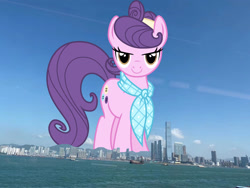 Size: 1440x1080 | Tagged: safe, artist:cheezedoodle96, edit, editor:jaredking779, imported from derpibooru, suri polomare, earth pony, pony, clothes, female, giant pony, giantess, highrise ponies, hong kong, irl, looking at you, macro, mare, photo, ponies in real life, scarf, smiling, solo