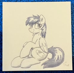 Size: 2048x2026 | Tagged: safe, artist:selenophile, imported from derpibooru, oc, oc only, pegasus, pony, sketch, solo, traditional art