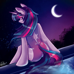 Size: 2000x2000 | Tagged: safe, artist:dankpegasista, derpibooru exclusive, imported from derpibooru, twilight sparkle, pony, semi-anthro, unicorn, angle, arm hooves, bangs, blurry background, bush, butt, clothes, crescent moon, detailed, digital art, dripping, ear fluff, eyelashes, female, flowing mane, flowy mane, full color, happy, heart, heart eyes, high res, highlights, krita, lineart, long eyelashes, long tail, looking at you, looking back, mare, messy mane, moon, one-piece swimsuit, plot, png, purple background, purple eyes, purple hair, rear view, scenery, shading, shiny mane, shiny skin, signature, sitting, smiling, smiling at you, solo, splashing, starry night, stars, swimming pool, swimsuit, tail, turning, upright, water, water droplet, wet, wet clothes, wet hair, wet mane, wingding eyes