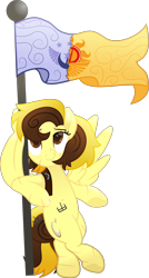 Size: 4265x7978 | Tagged: safe, artist:lincolnbrewsterfan, derpibooru exclusive, imported from derpibooru, part of a set, oc, oc only, oc:countess sweet bun, pegasus, pony, a horse shoe-in, rainbow roadtrip, .svg available, 2023, absurd resolution, april fools, april fools 2023, bag, bags under eyes, belly button, belt buckle, bipedal, bipedal leaning, brown eyes, brown mane, cinnamon bun, colored pupils, commission, cookie, crescent, crossed legs, curly mane, curly tail, eye scar, facial scar, female, flag, flag pole, flag waving, flagpole, food, hair bun, hoof heart, hug, inkscape, leaning, lidded eyes, logo, looking up, mare, movie accurate, new lunar republic, older, pegasus oc, satchel, scar, simple background, smiling, solar empire, solo, spread wings, standing, standing on two hooves, stitches, straight hair, straight mane, strap, svg, tail, tail bun, tired, transparent background, two toned mane, two toned tail, underhoof, vector, wing hands, wing hold, winghug, wings, yellow eyes, yellow mane
