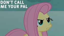 Size: 1920x1080 | Tagged: safe, edit, edited screencap, editor:quoterific, imported from derpibooru, screencap, fluttershy, keep calm and flutter on, solo