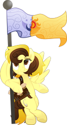 Size: 4550x8511 | Tagged: safe, artist:lincolnbrewsterfan, derpibooru exclusive, imported from derpibooru, part of a set, oc, oc only, oc:countess sweet bun, pegasus, pony, a horse shoe-in, rainbow roadtrip, .svg available, absurd resolution, april fools, april fools 2023, bag, bags under eyes, belly button, belt buckle, bipedal, bipedal leaning, brown eyes, brown mane, cinnamon bun, commission, cookie, crescent, crossed legs, curly mane, curly tail, eye scar, facial scar, female, flag, flag pole, flag waving, flagpole, food, hair bun, hoof heart, hug, inkscape, leaning, lidded eyes, logo, looking up, mare, movie accurate, new lunar republic, older, pegasus oc, satchel, scar, smiling, solar empire, spread wings, standing, standing on two hooves, stitches, straight hair, straight mane, strap, svg, tail, tail bun, tired, two toned mane, two toned tail, underhoof, vector, wing hands, wing hold, winghug, wings, yellow eyes, yellow mane