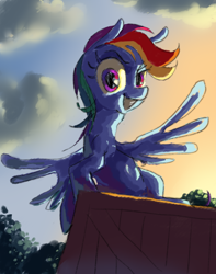 Size: 1500x1900 | Tagged: safe, artist:saltycube, imported from derpibooru, rainbow dash, pegasus, pony, box, cloud, looking at you, sitting, sky, smiling, solo, spread wings, sunset, tree, wings