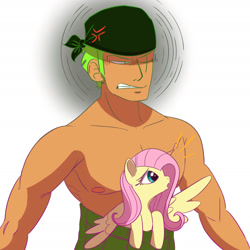 Size: 1715x1715 | Tagged: safe, artist:solarmantle, imported from derpibooru, fluttershy, human, pegasus, pony, anime, clothes, cross-popping veins, crossover, emanata, female, gritted teeth, human male, male, mare, one piece, partial nudity, roronoa zoro, teeth, topless