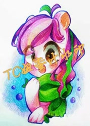 Size: 480x676 | Tagged: safe, artist:tcniu, imported from derpibooru, oc, earth pony, pony, female, mare, solo