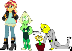Size: 1934x1360 | Tagged: safe, artist:mtad2, imported from derpibooru, sunset shimmer, human, equestria girls, adventure time, crossover, flowey, gem (race), lemongrab, peridot, peridot (steven universe), steven universe, undertale