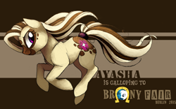 Size: 800x500 | Tagged: safe, artist:ayasha-the-pony, imported from derpibooru, oc, oc:ayasha, earth pony, pony, brony fair, brony fair 2015, female, mare, solo
