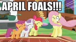 Size: 600x334 | Tagged: safe, artist:mlpmemearchive, imported from derpibooru, screencap, apple bloom, scootaloo, sweetie belle, earth pony, pegasus, pony, caption, female, filly, foal, group, image macro, text