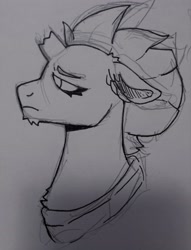 Size: 2382x3112 | Tagged: safe, artist:spicyybreadd, imported from derpibooru, tempest shadow, pony, unicorn, broken horn, chin fluff, floppy ears, horn, monochrome, profile, solo, traditional art