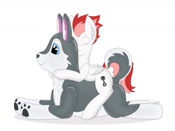 Size: 1280x960 | Tagged: safe, artist:cuddle_cruise, imported from derpibooru, oc, oc:swift apex, pegasus, pony, hug, inflatable, inflatable husky, inflatable toy, puffypaws, riding, solo, straddling