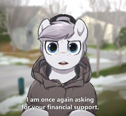 Size: 2093x1926 | Tagged: safe, artist:selenophile, imported from derpibooru, oc, oc only, oc:seleno, pegasus, pony, bernie sanders, clothes, exploitable meme, hat, hoodie, looking at you, male, meme, open mouth, pegasus oc, solo, stallion, text