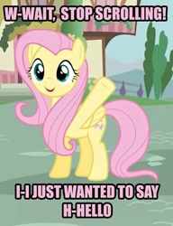 Size: 485x632 | Tagged: safe, artist:mlpmemearchive, edit, edited screencap, imported from derpibooru, screencap, fluttershy, pegasus, pony, bronybait, caption, cropped, cute, dialogue, female, image macro, looking at you, outdoors, shyabetes, solo, talking to viewer, text