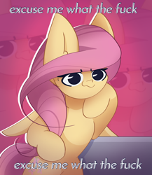 Size: 2000x2300 | Tagged: safe, artist:miryelis, imported from derpibooru, fluttershy, pegasus, pony, big ears, long hair, meme, pink background, shitposting, simple background, smiling, solo, swearing, text, vulgar