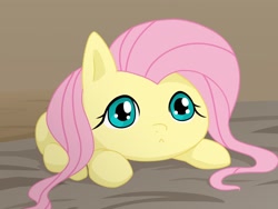 Size: 2048x1536 | Tagged: safe, artist:batipin, imported from derpibooru, fluttershy, pegasus, pony, :<, behaving like a cat, cute, female, looking at you, mare, shyabetes, smol, solo