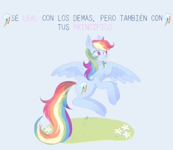 Size: 2048x1781 | Tagged: safe, artist:sadgirl_jvnko, imported from derpibooru, rainbow dash, pegasus, pony, female, light blue background, mare, simple background, solo, spanish, text