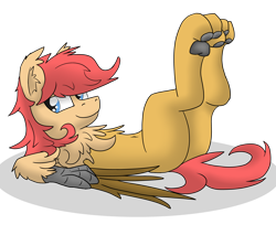 Size: 5120x4365 | Tagged: safe, artist:pzkratzer, imported from derpibooru, oc, oc:ponygriff, hybrid, belly button, butt, chest fluff, lying down, male, on back, paw pads, paws, plot, ponygriff, sketch, solo, underpaw