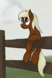 Size: 600x900 | Tagged: safe, artist:ahorseofcourse, imported from derpibooru, earth pony, pony, fence, looking up, smiling, solo, verity