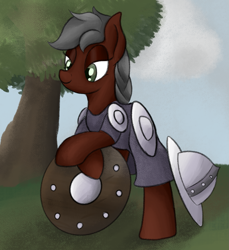 Size: 1361x1484 | Tagged: safe, artist:ahorseofcourse, imported from derpibooru, oc, oc only, earth pony, pony, armor, female, guardsmare, mare, ponerpics import, royal guard, shield, solo