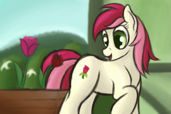 Size: 1125x750 | Tagged: safe, artist:ahorseofcourse, imported from derpibooru, roseluck, earth pony, pony, female, flower, mare, open mouth, raised hoof, raised leg, rose, solo