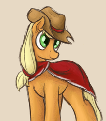Size: 827x950 | Tagged: safe, artist:ahorseofcourse, imported from derpibooru, applejack, earth pony, pony, clothes, poncho, solo