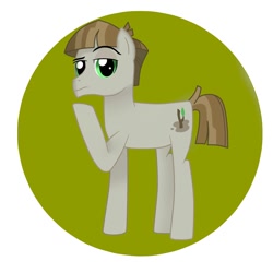 Size: 2000x2000 | Tagged: safe, artist:angul205, imported from derpibooru, mudbriar, earth pony, pony, male, solo, stallion
