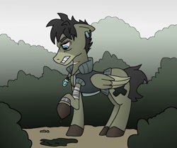 Size: 1280x1065 | Tagged: safe, artist:askcloudwork, imported from derpibooru, oc, oc only, oc:cassio, pegasus, pony, bandage, bracelet, jewelry, male, necklace, solo, stallion