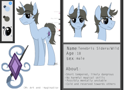 Size: 1280x897 | Tagged: safe, artist:thevixvix, imported from derpibooru, oc, oc only, oc:tenebris sidera, pony, unicorn, male, reference sheet, simple background, solo, stallion, transparent background
