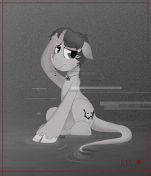 Size: 1280x1493 | Tagged: safe, artist:thevixvix, imported from derpibooru, oc, oc only, pony, sitting, solo