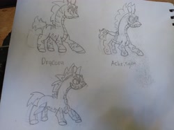 Size: 4608x3456 | Tagged: safe, artist:acid flask, imported from derpibooru, dark moon, graphite, pony, them's fightin' herds, 2d, art dump, community related, i has pencil, paper, sketch, sketch dump, sketchbook, tianhuo (tfh), traditional art