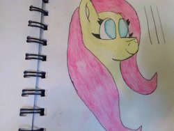 Size: 4608x3456 | Tagged: safe, artist:acid flask, imported from derpibooru, dark moon, fluttershy, graphite, pegasus, pony, 2d, art dump, female, happy, mare, paint, paper, sketch, sketch dump, sketchbook, smiling, solo, traditional art