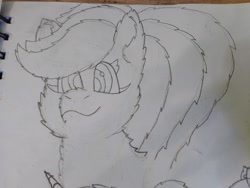 Size: 4608x3456 | Tagged: safe, artist:acid flask, imported from derpibooru, dark moon, graphite, rainbow dash, pegasus, pony, 2d, art dump, chest fluff, ear fluff, female, fluffy, looking at you, mare, paper, ponytail, sketch, sketch dump, sketchbook, smiling, traditional art