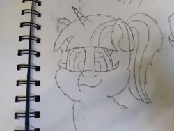 Size: 4608x3456 | Tagged: safe, artist:acid flask, imported from derpibooru, dark moon, graphite, twilight sparkle, alicorn, pony, 2d, art dump, female, fluffy, looking at you, mare, paper, ponytail, sketch, sketch dump, sketchbook, smiling, smiling at you, solo, traditional art