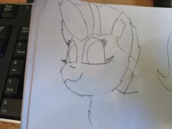 Size: 4608x3456 | Tagged: safe, artist:acid flask, imported from derpibooru, dark moon, graphite, zipp storm, pegasus, pony, 2d, art dump, chest fluff, ear fluff, female, fluffy, g5, looking at you, looking back, looking back at you, mare, paper, sketch, sketch dump, sketchbook, smiling, smiling at you, traditional art