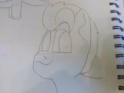 Size: 4608x3456 | Tagged: safe, artist:acid flask, imported from derpibooru, dark moon, graphite, hitch trailblazer, earth pony, pony, 2d, art dump, g5, happy, looking at you, male, paper, sketch, sketch dump, sketchbook, smiling, smiling at you, solo, stallion, traditional art