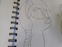 Size: 4608x3456 | Tagged: safe, artist:acid flask, imported from derpibooru, dark moon, graphite, sunny starscout, earth pony, pony, 2d, art dump, braid, female, g5, happy, mare, paper, sketch, sketch dump, sketchbook, smiling, solo, traditional art