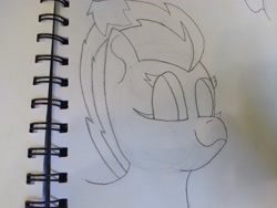 Size: 4608x3456 | Tagged: safe, artist:acid flask, imported from derpibooru, dark moon, graphite, spitfire, pony, 2d, art dump, female, happy, looking at you, mare, paper, sketch, sketch dump, sketchbook, smiling, smiling at you, solo, traditional art