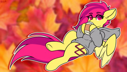 Size: 1920x1080 | Tagged: safe, artist:koapony, imported from derpibooru, oc, oc only, oc:koa, pegasus, pony, clothes, coffee, colored wings, colored wingtips, eye clipping through hair, eyebrows, eyebrows visible through hair, hoodie, looking at you, solo, spread wings, two toned wings, underhoof, wings