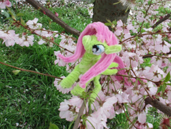 Size: 2684x2013 | Tagged: safe, alternate version, artist:malte279, imported from derpibooru, part of a set, fluttershy, pony, chenille, chenille stems, chenille wire, cherry blossoms, craft, flower, flower blossom, irl, part of a series, photo, pipe cleaner sculpture, pipe cleaners