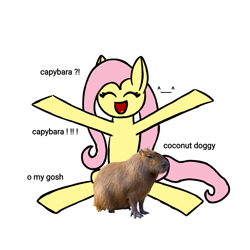 Size: 1080x1080 | Tagged: safe, artist:itzf1ker1, imported from derpibooru, fluttershy, pegasus, pony, :d, capybara, eyes closed, happy, open mouth, open smile, smiling, yay